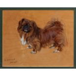 L. Lockwood (20th century),, Pekingese Dog . oil on board, signed and dated June 1945 lower left,