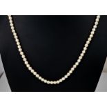 A cultured pearl single strand necklace, the evenly sized 4mm. pearls with 18ct gold clasp, 19in. (