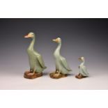 A graduated set of three Chinese celadon glazed porcelain figures of standing ducks, 20th century,