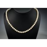A single strand cultured pearl necklace with 14ct gold clasp, the pearls measuring approximately 4mm