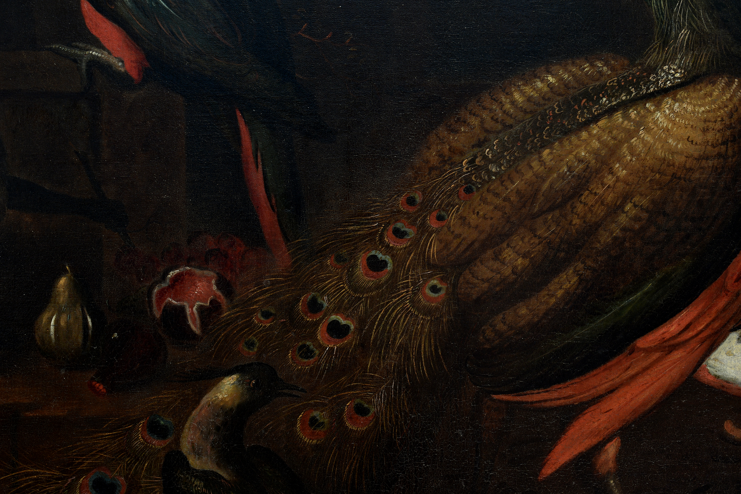 Follower of Melchior de Hondecoeter (Dutch, 1636-1695), A peacock, a monkey and other birds on a - Image 9 of 13