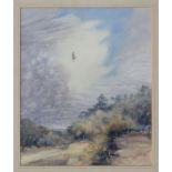 Peter Partington (British, b.1941), 'Buzzard on a hill' watercolour, signed lower left, inscribed