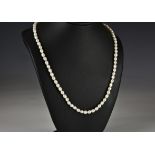 A 9ct gold and freshwater pearl necklace, the single strand of ovoid pearls with 9ct gold bow clasp,