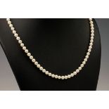 A single strand cultured pearl necklace, with 9ct yellow gold clasp. Measuring approximately 16in.