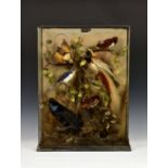 A Victorian taxidermy study of six exotic birds, in naturalistic setting, cased within a glass