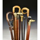 A collection of ten vintage walking sticks, and canes to include one with clear resin handle