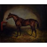 Follower of John Frederick Herring Snr. (British, 1795-1865), Study of a chestnut stallion in a