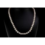 A string of round baroque pearls with 18ct yellow gold clasp, the pearls with a pinkish tone and