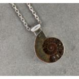 A silver and ammonite pendant necklace, the polished ammonite fossil within a silver edge mount, 6.