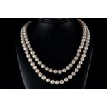 An opera length string of pearls with sterling silver clasp, the pearls approximately 7mm in
