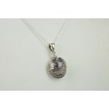 A novely silver turtle pendant necklace, on a silver chain.