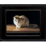 Deborah Bay (American, contemporary), Sunlit cat on a table pastel, signed lower right 11¼ x 15¼