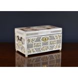 A Chinese export blonde tortoiseshell and ivory tea caddy, 18th century, of rectangular form, the