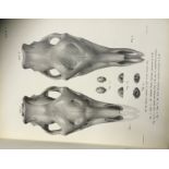 STAMPS: Book with very interesting black and white diagrams of bones and bone structure.