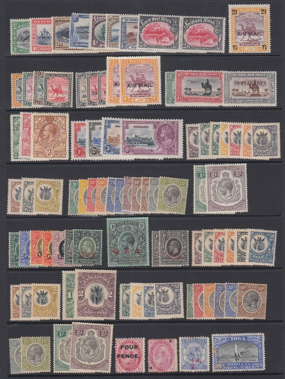 STAMPS British Commonwealth mounted mint accumulation QV to GVI on stock pages, - Image 7 of 7