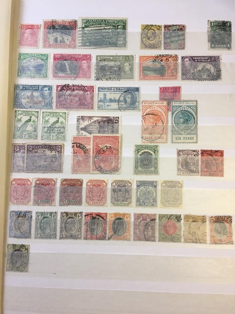 STAMPS BRITISH COMMONWEALTH, box with five stockbooks, three albums and various in folders. - Image 2 of 5