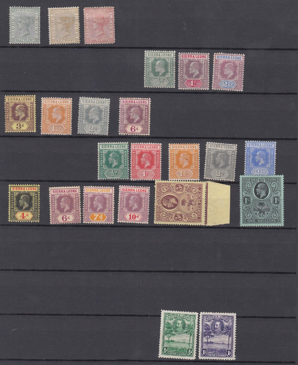 STAMPS British Commonwealth mint collection in large stock book, including Australia and States, - Image 5 of 5