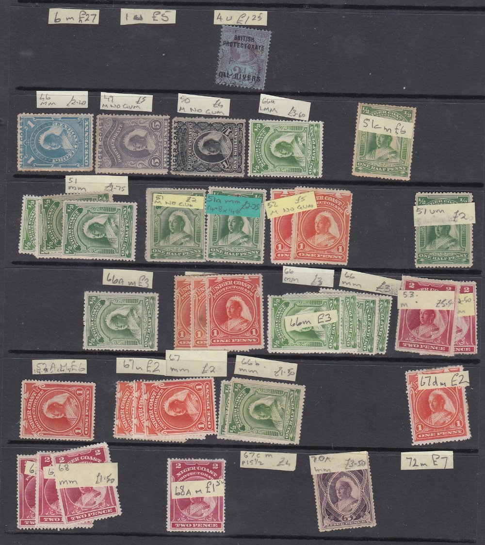 STAMPS British Africa mint and used on twelve stock pages QV to early QEII, ex dealers stock, - Image 2 of 4