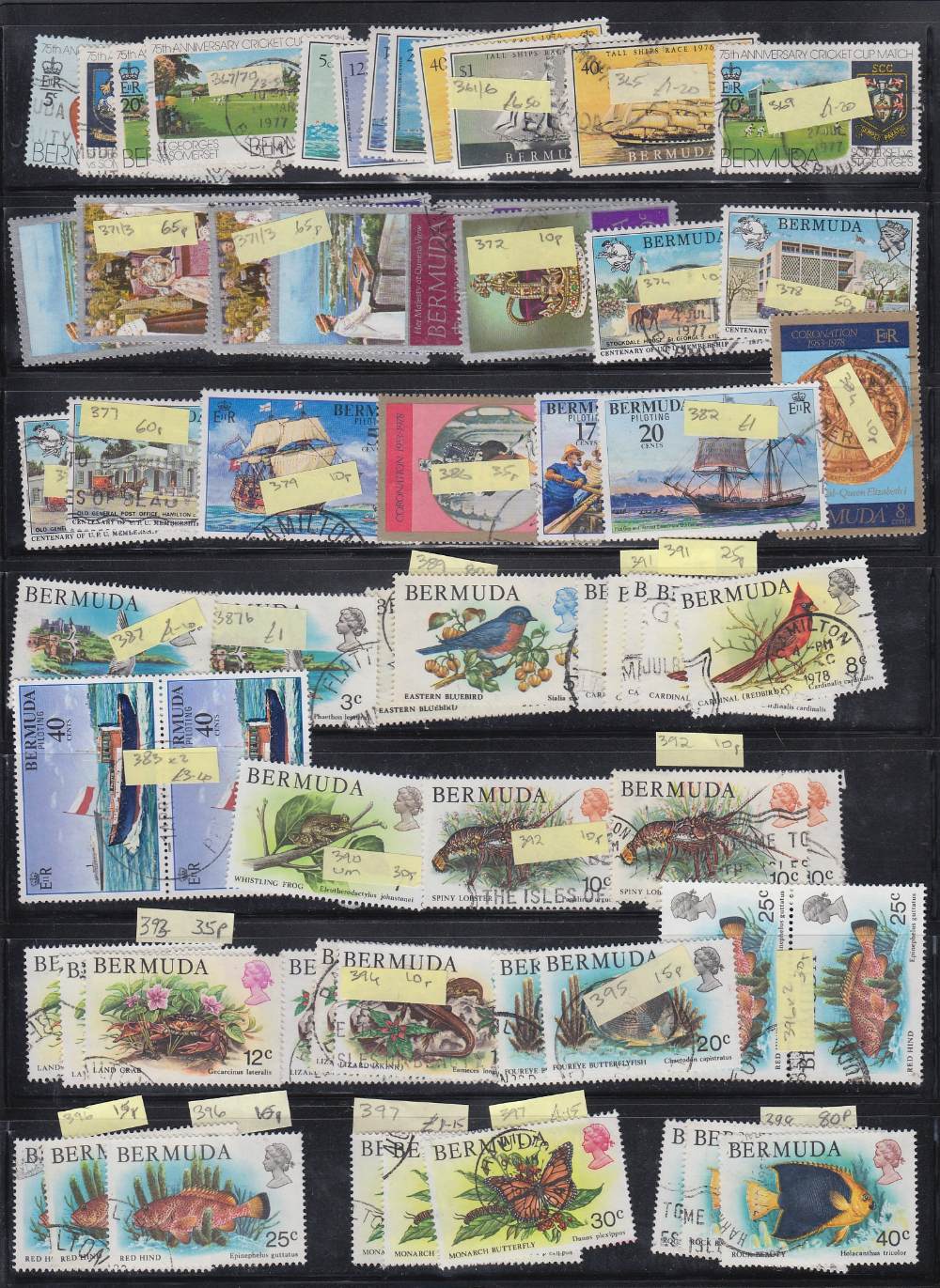 BERMUDA STAMPS QV to QEII ex-dealers stock on 27 stock pages mint and used, sure to reward. - Image 2 of 5