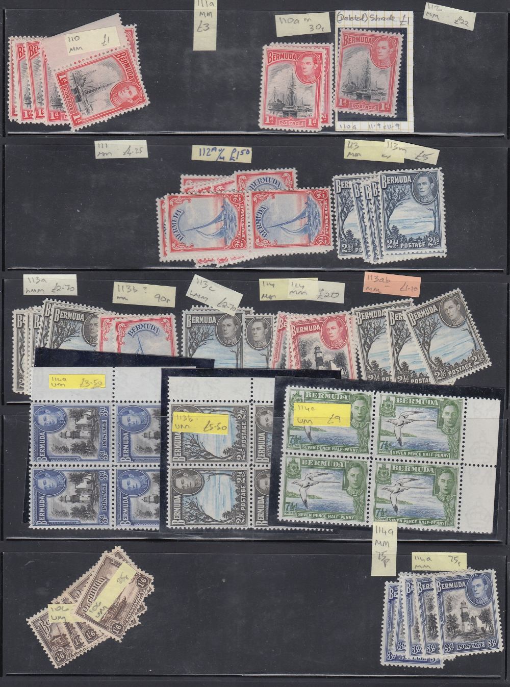 BERMUDA STAMPS QV to QEII ex-dealers stock on 27 stock pages mint and used, sure to reward. - Image 3 of 5