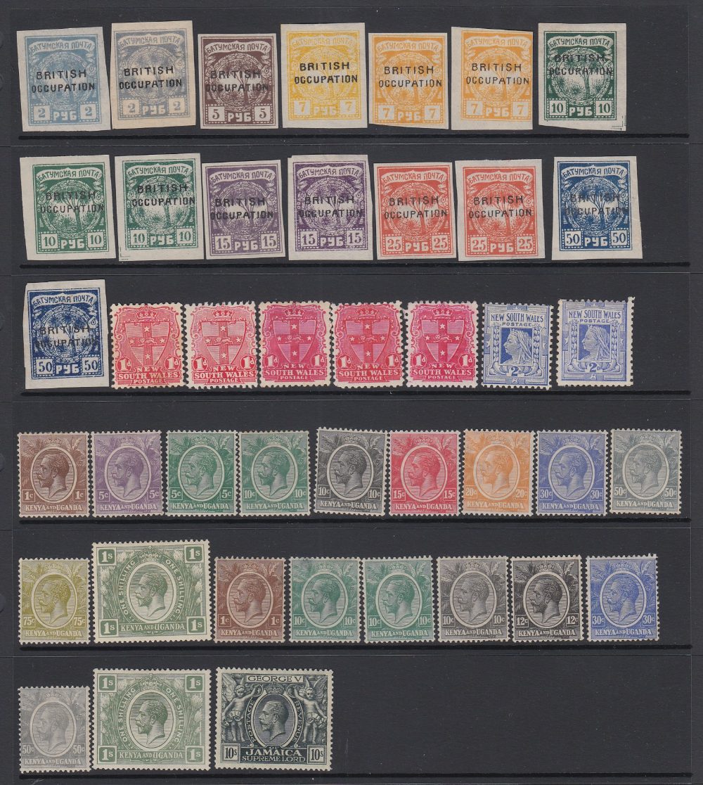 STAMPS British Commonwealth mounted mint accumulation QV to GVI on stock pages, - Image 4 of 7
