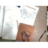 Various portfolios of art work