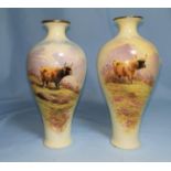 A pair of Cauldon inverted baluster vase, hand painted with highland cattle with signature in the