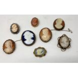 8 Victorian style oval shell cameo brooches