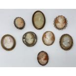 8 Victorian style oval shell cameo brooches