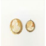 A shell cameo brooch in yellow metal mount, tests 9 ct; another in gilt metal mount