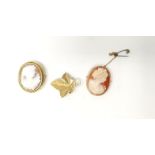 Two 9ct gold rimmed cameo brooches and a 9ct gold leaf brooch (leaf brooch 2.4gm)