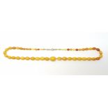 A butterscotch amber coloured necklace, 55gm, longest bead 2.2cm, length of necklace app 76cm