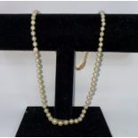 A cultured pearl graduating necklace with 9 carat clasp