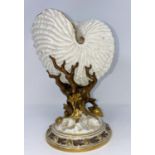 A Royal Worcester nautilus shell vase in gilded naturalistic colour, on circular base, height 22
