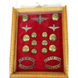 PARACHUTE REGIMENT cap badge, lapel badges, buttons etc framed