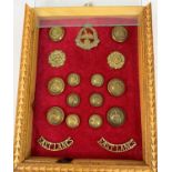 EAST LANCASHIRE Regiment cap badge, lapel badges, buttons etc framed