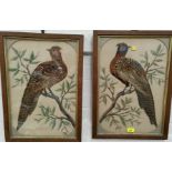 A pair of 19th century feather collages depicting birds, framed & glazed