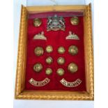 MANCHESTER Regiment cap badge lapel badges, buttons etc framed