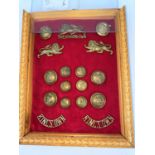 KINGS OWN YORKSHIRE Light Infantry cap badge, lapel badges, buttons etc framed