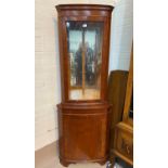 A yew wood full height corner display cabinet, with 1 glazed and 1 panelled door