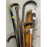 A selection of walking sticks and various rulers