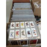 Three boxes of cigarette cards in plastic sleeves