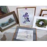 Four framed watercolour drawings