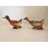 Two Royal Doulton mallard ducks, the drake. 7' long