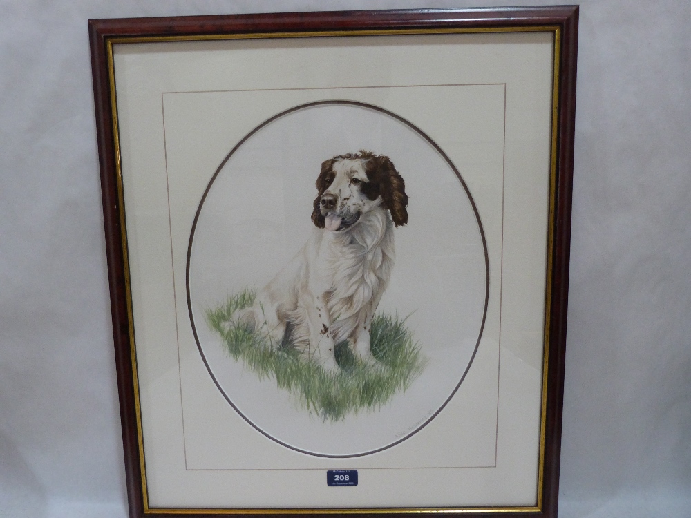 NIGEL HEMMING. BRITISH 20TH/21ST CENTURY A springer spaniel study. Signed and dated '86. Watercolour