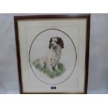 NIGEL HEMMING. BRITISH 20TH/21ST CENTURY A springer spaniel study. Signed and dated '86. Watercolour