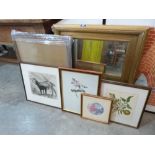 A gilt framed mirror, picture frame, botanical and other pictures