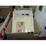 A box of watercolour drawings