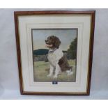 NIGEL HEMMING. BRITISH 20TH/21ST CENTURY A springer spaniel in a landscape. Signed. Pastel 15' x