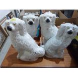 Four 19th century Staffordshire Pekinese dogs, the taller 15' high